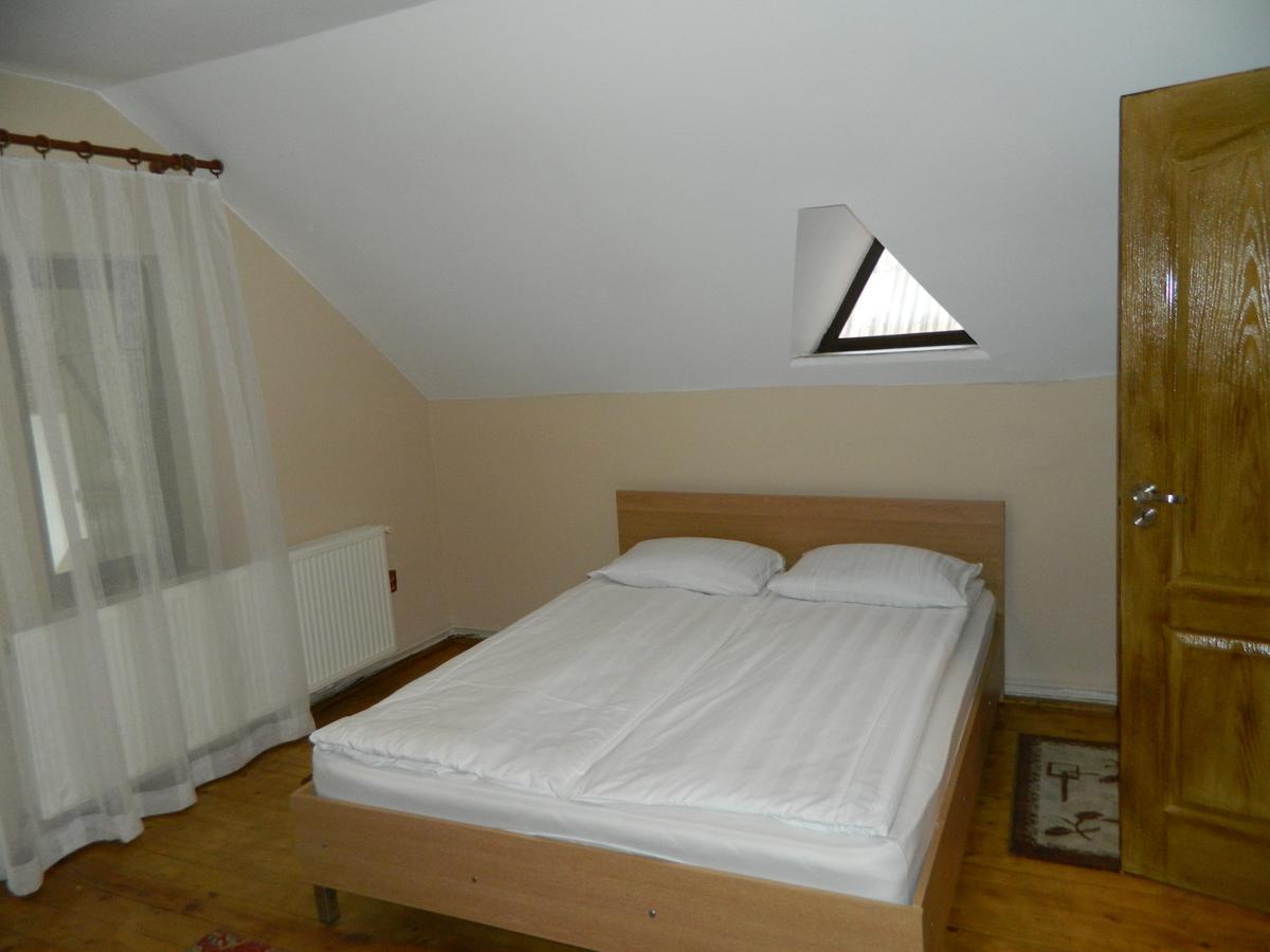 Cabana Florea Villa Rîu de Mori Buitenkant foto