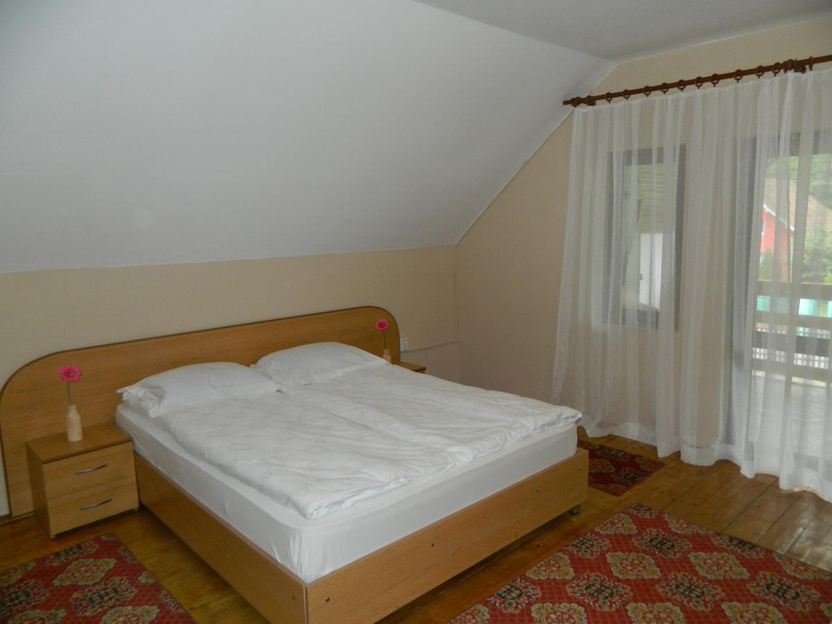 Cabana Florea Villa Rîu de Mori Buitenkant foto