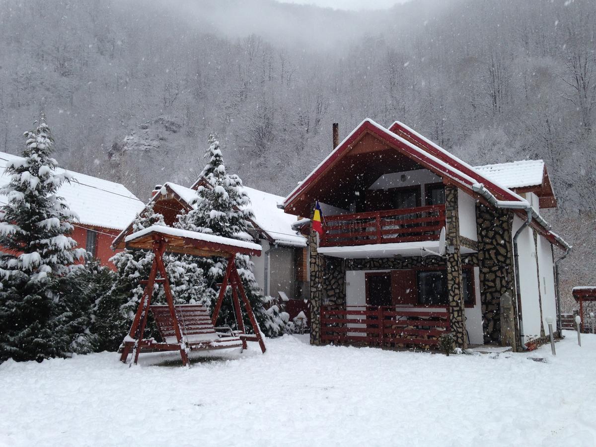 Cabana Florea Villa Rîu de Mori Buitenkant foto